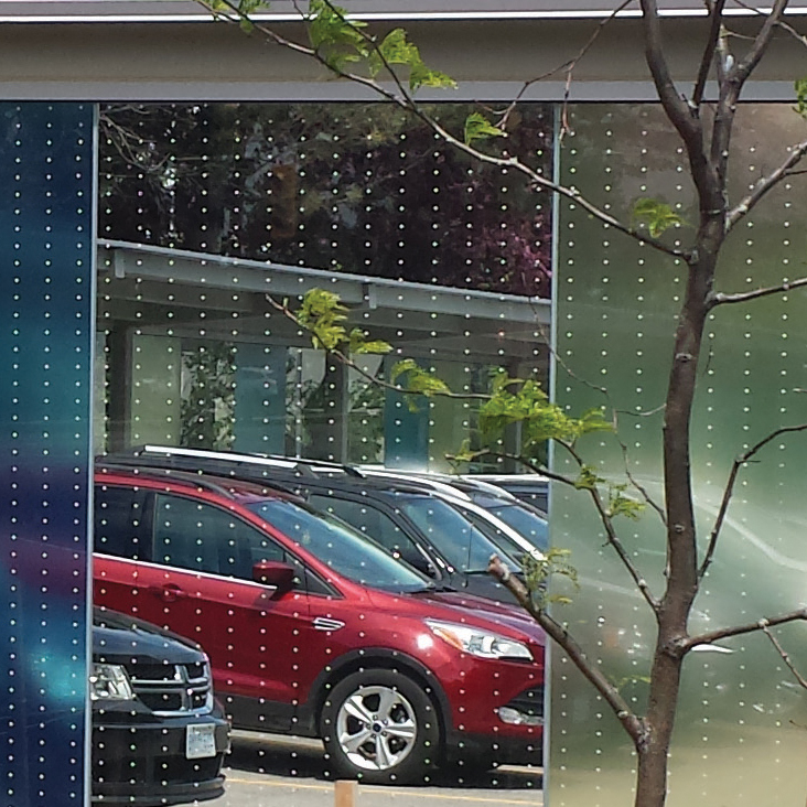 Bird Deterring Window Films