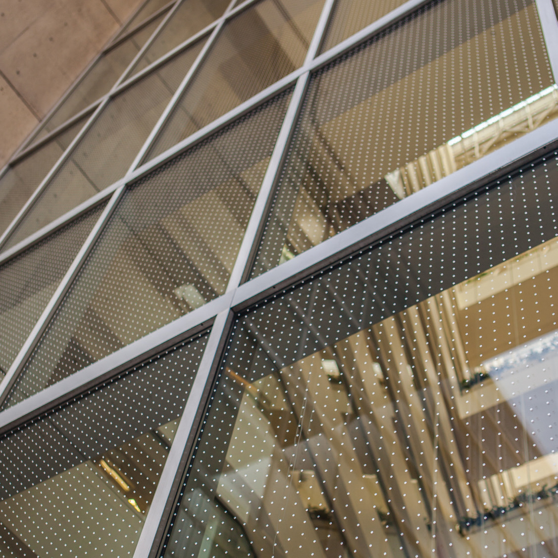 Feather Friendly Window Film